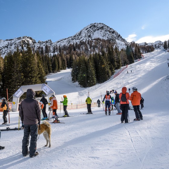 Aprica - Foto Previsdomini