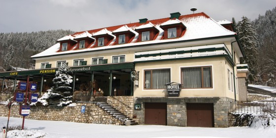 Hotel Pesentheinerhof