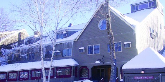 Snowy Owl Inn Exterior