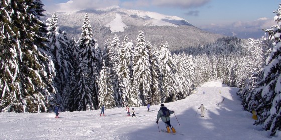 Folgaria Ski | Italy