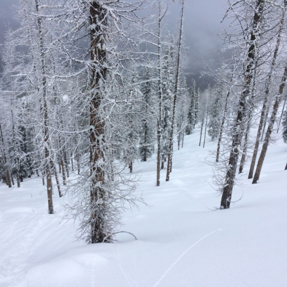 Panorama deep snow | Image taken 16.11.2016