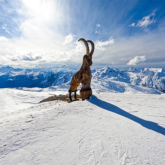 Wooden statue of a wild chamois at the top of La Masse mountain in Les Menuires