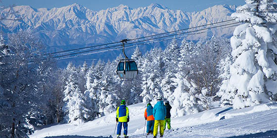 School group skiing on Olympic slopes at Yakebitaiyama in Shigakogen, Japan