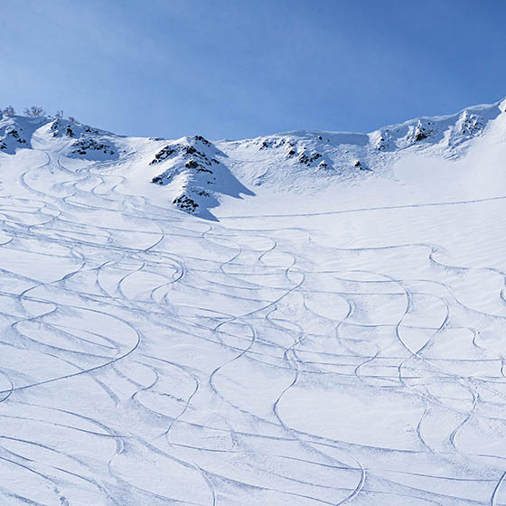 Ski tracks on the slopes in Hakuba Valley