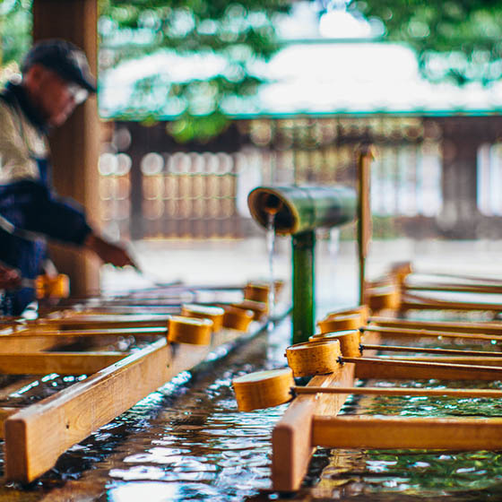 Dipping cups at Meiji Jingu in Tokyo, Japan