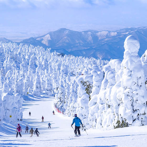 ople racing down in a slope through the snow monsters in a Japan ski resort
