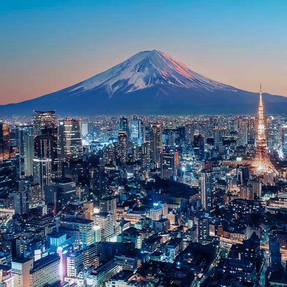 Tokyo City viewed from high up at sunset with Mount Fuji in the background, Japan