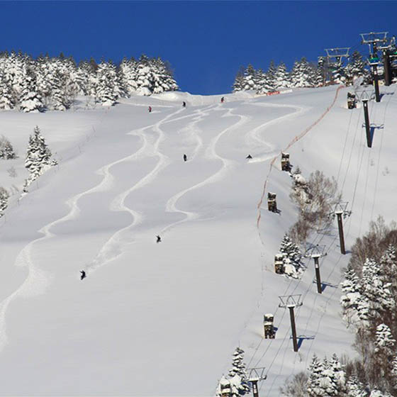 Skiers sliding down the slope in Yakebitaiyama, Japan