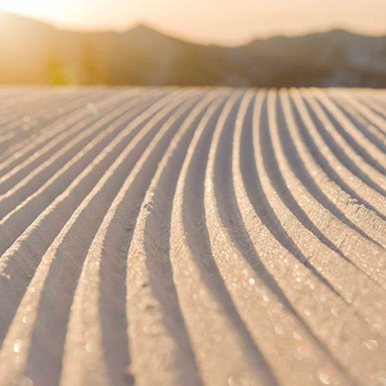 Close-up of untouched dry powder in Yakebitaiyama, Japan