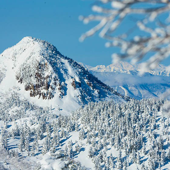 Mountain covered in snow in Japan