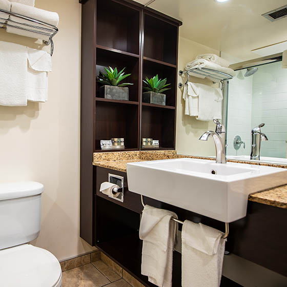 Bathroom at Chateau Jasper in Canada