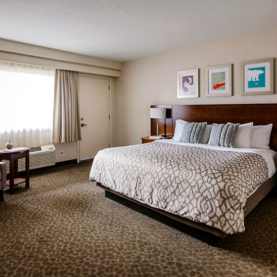 Standard king room at the Crimson in Jasper, Canada