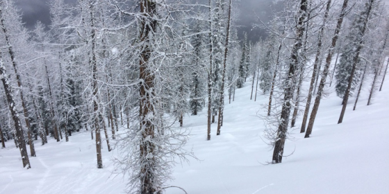 Panorama deep snow | Image taken 16.11.2016