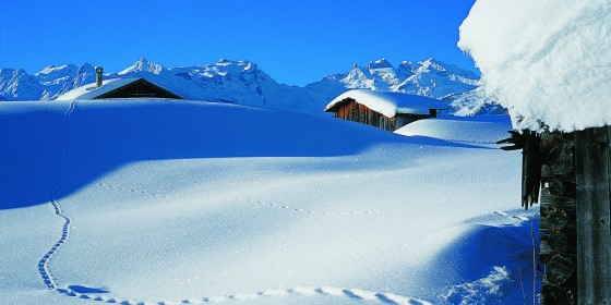 On the slopes of Montafon