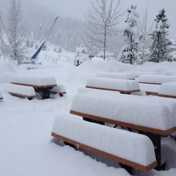 Post image for 40 Cm: Biggest Overnight Snowfall In 10 Years at Panorama