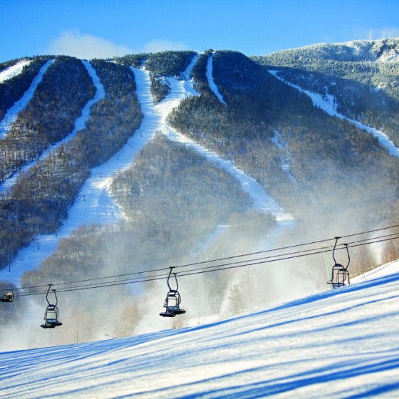 Post image for Latest update on Stowe