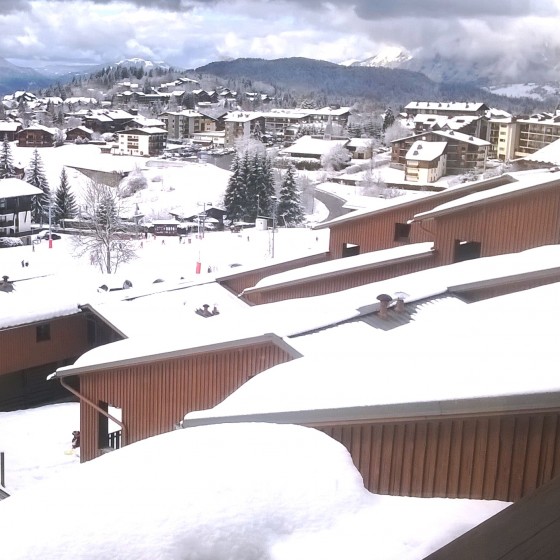 Les Flocons Vert