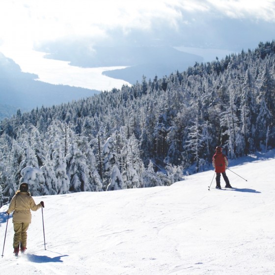 Whiteface
