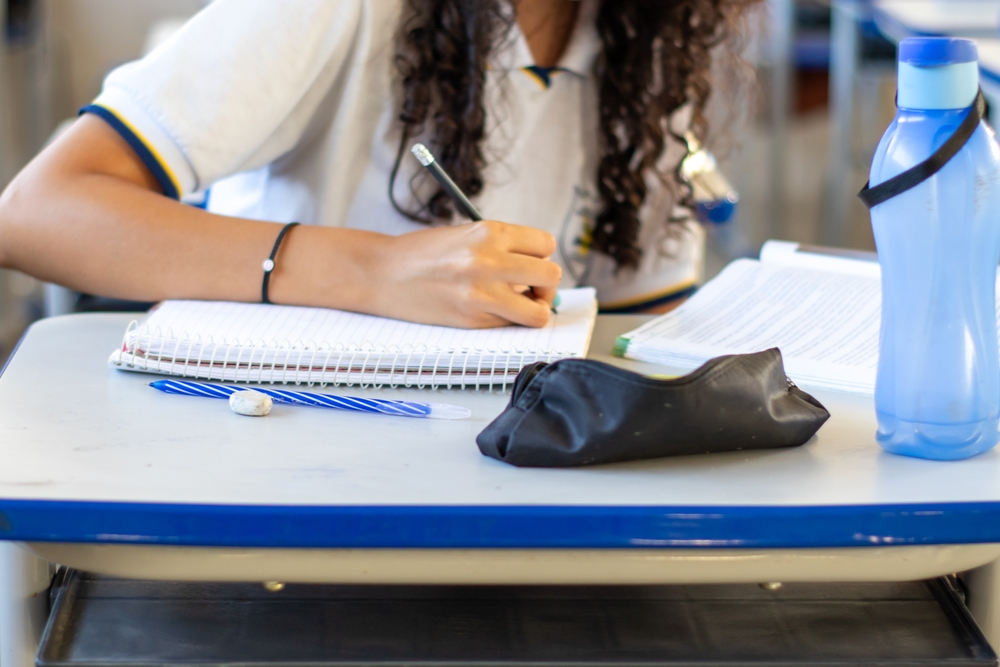 Student at school