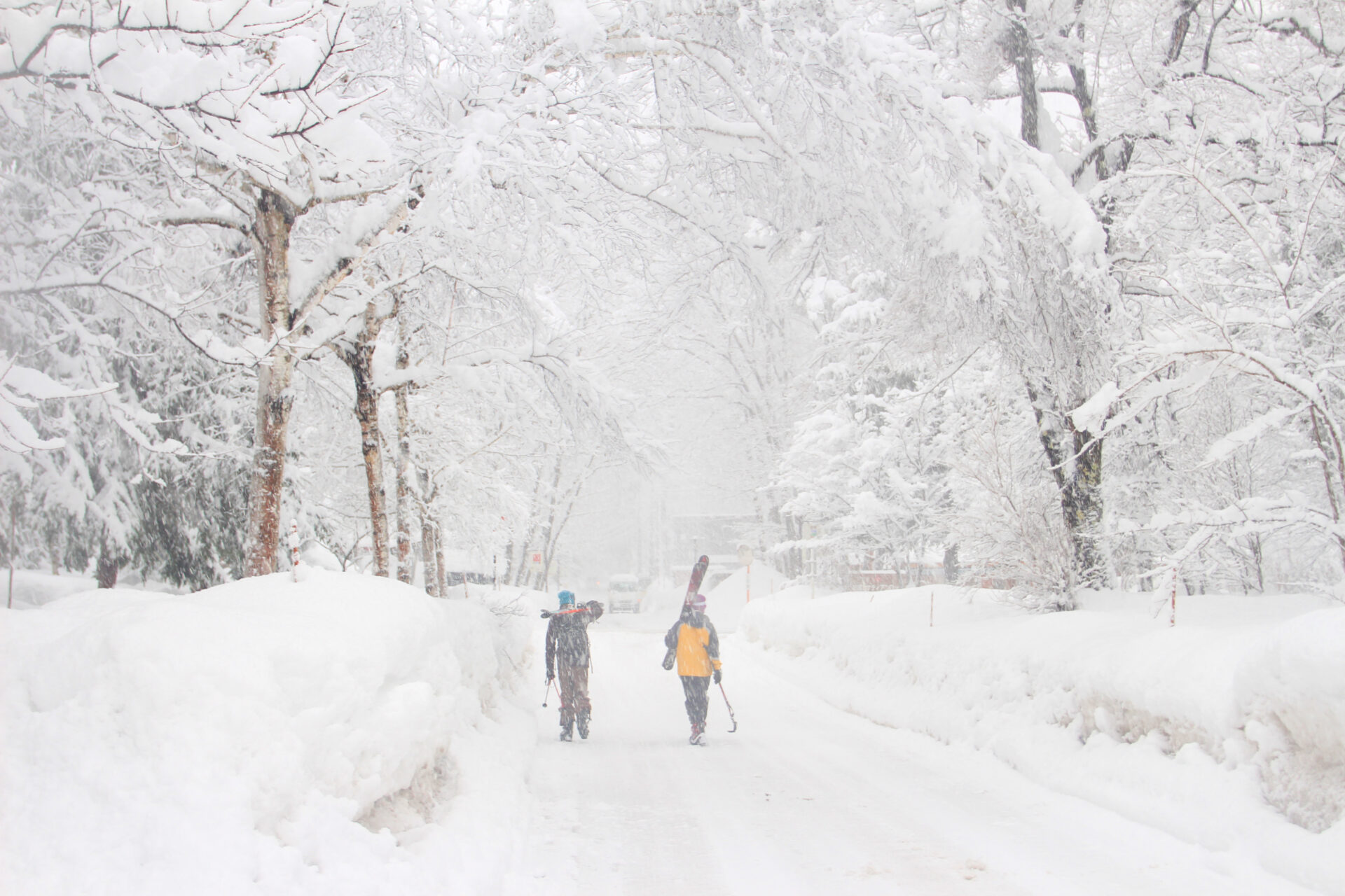 Skiers walking in the snow, Hakuba