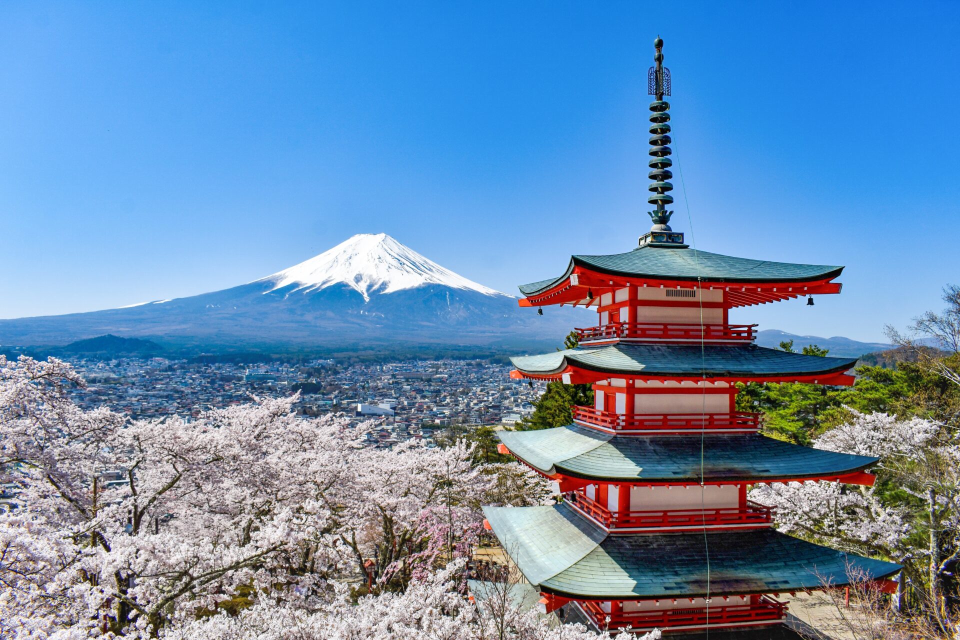 Chureito Pagoda and Mount Fuji during the cherry blossom season