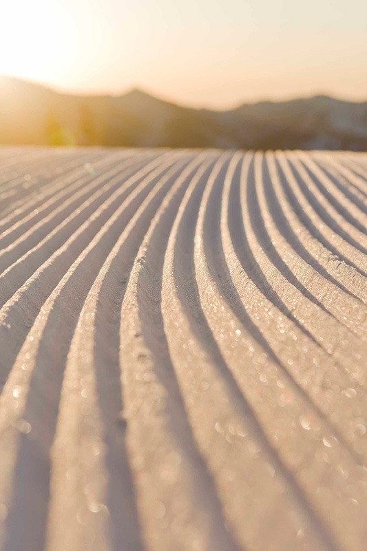Close-up of untouched dry powder in Yakebitaiyama, Japan