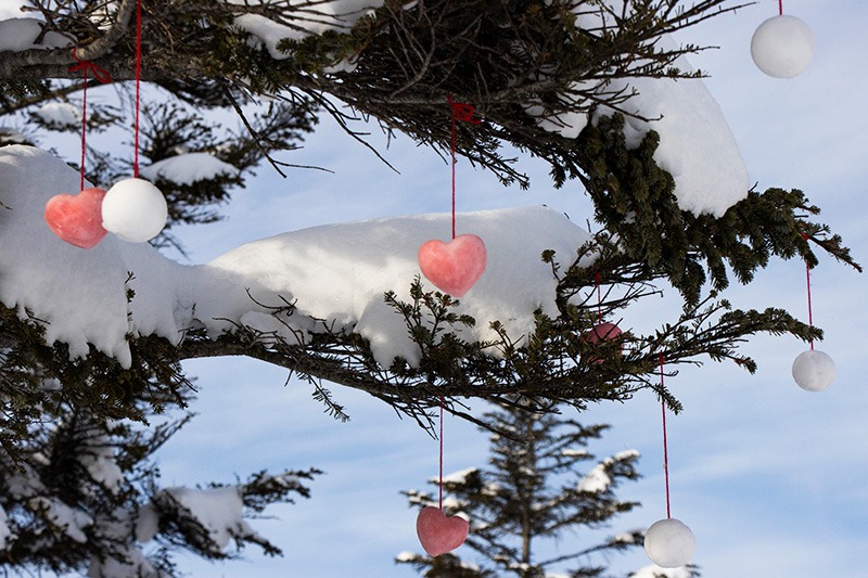 Tree covered in snow and cute decoration
