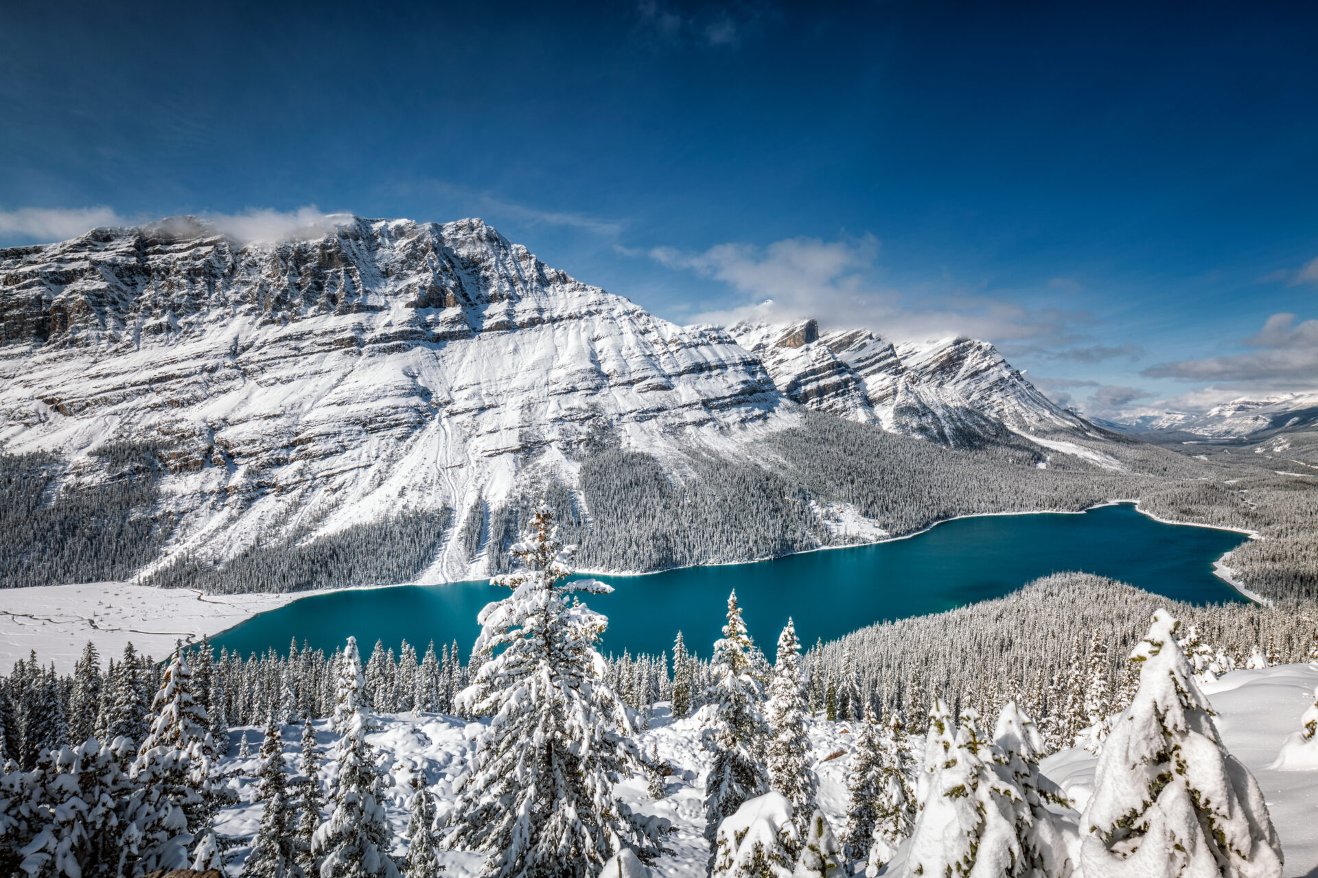 The stunning turquoise blue Peyto Lake in Banff, Canada